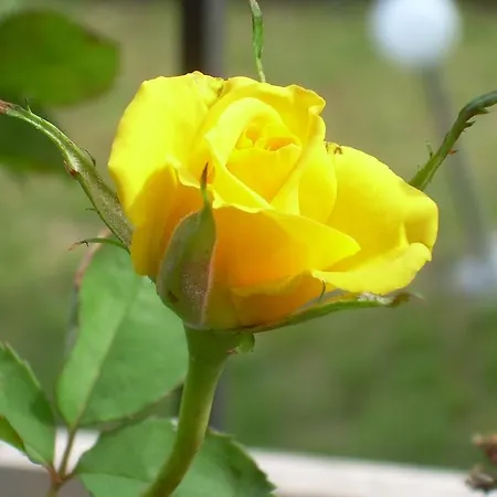 Casa Balducci 3* Mercatello sul Metauro