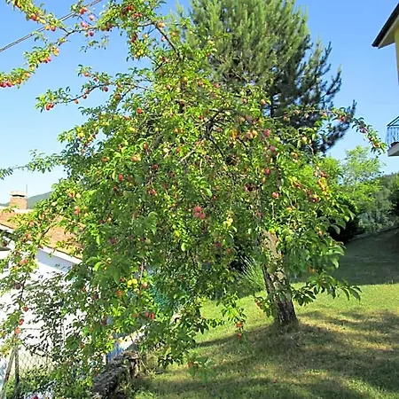 Bed & Breakfast Casa Balducci