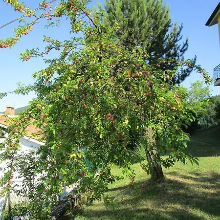 Casa Balducci Bed & Breakfast 3*